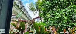 The Lakefront Residences (D22), Condominium #576243971